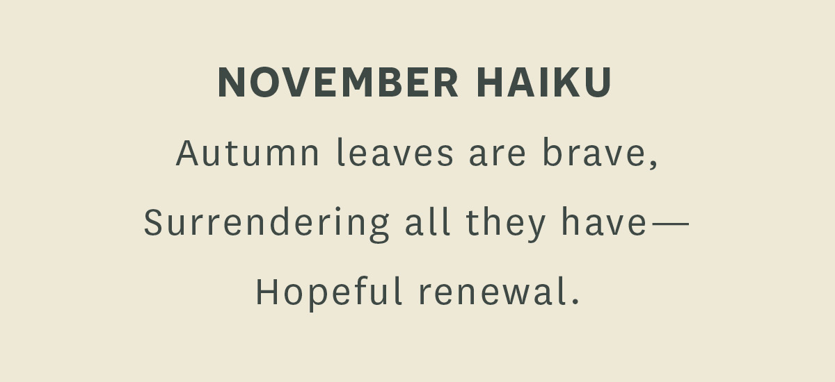 November Haiku