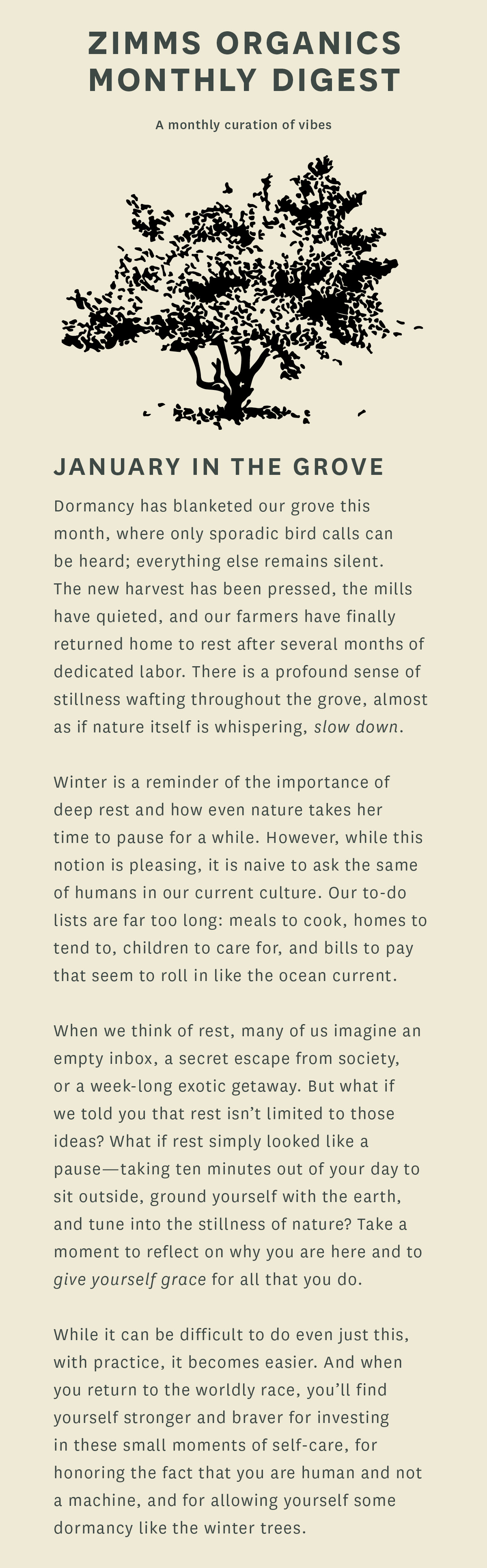 Dormancy has blanketed our grove this month, where only sporadic bird calls can be heard; everything else remains silent. The new harvest has been pressed, the mills have